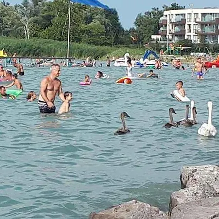 Apartament In - Balaton 53602 *