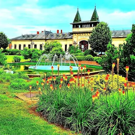 In - Balaton 53602 Apartmán Siófok